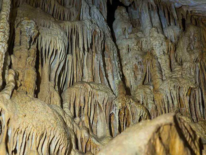 Scientists Discover Europe's Oldest Shoes: 6,000-Year-Old Sandals Woven from Grass - Fantastic calcite formations in Cueva de los Murcielagos